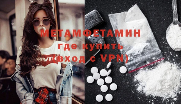 ПСИЛОЦИБИНОВЫЕ ГРИБЫ Осташков