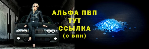 ПСИЛОЦИБИНОВЫЕ ГРИБЫ Осташков