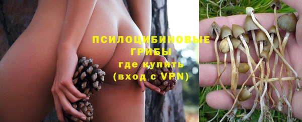ПСИЛОЦИБИНОВЫЕ ГРИБЫ Осташков