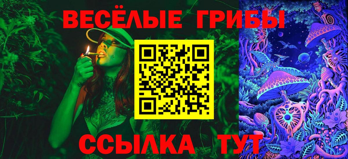 Кудымкар  как найти   Вход с VPN  Галлюциногенные грибы мицелий  Псилоцибиновые грибы Cubensis 