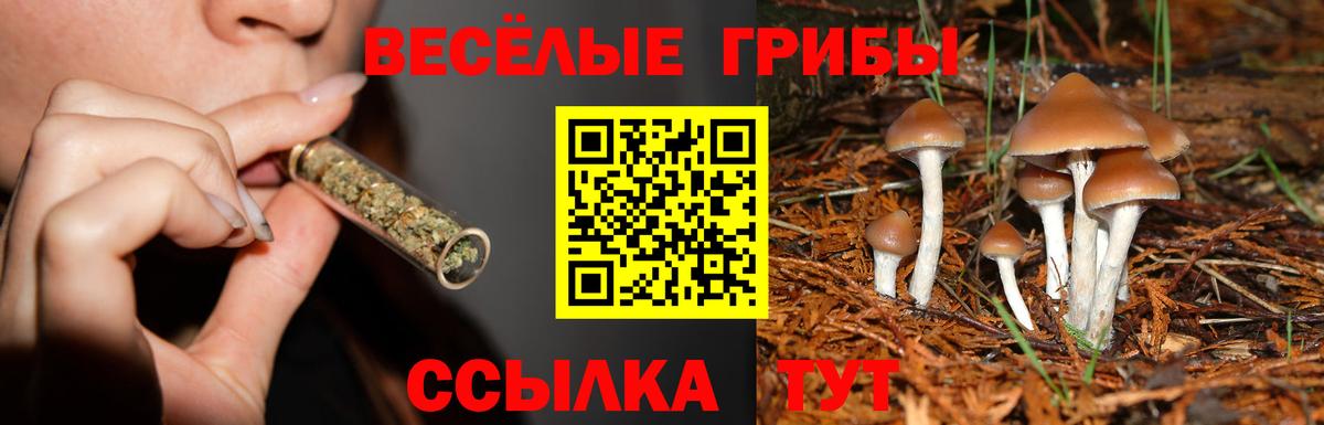 Галлюциногенные грибы Magic Shrooms Кудымкар